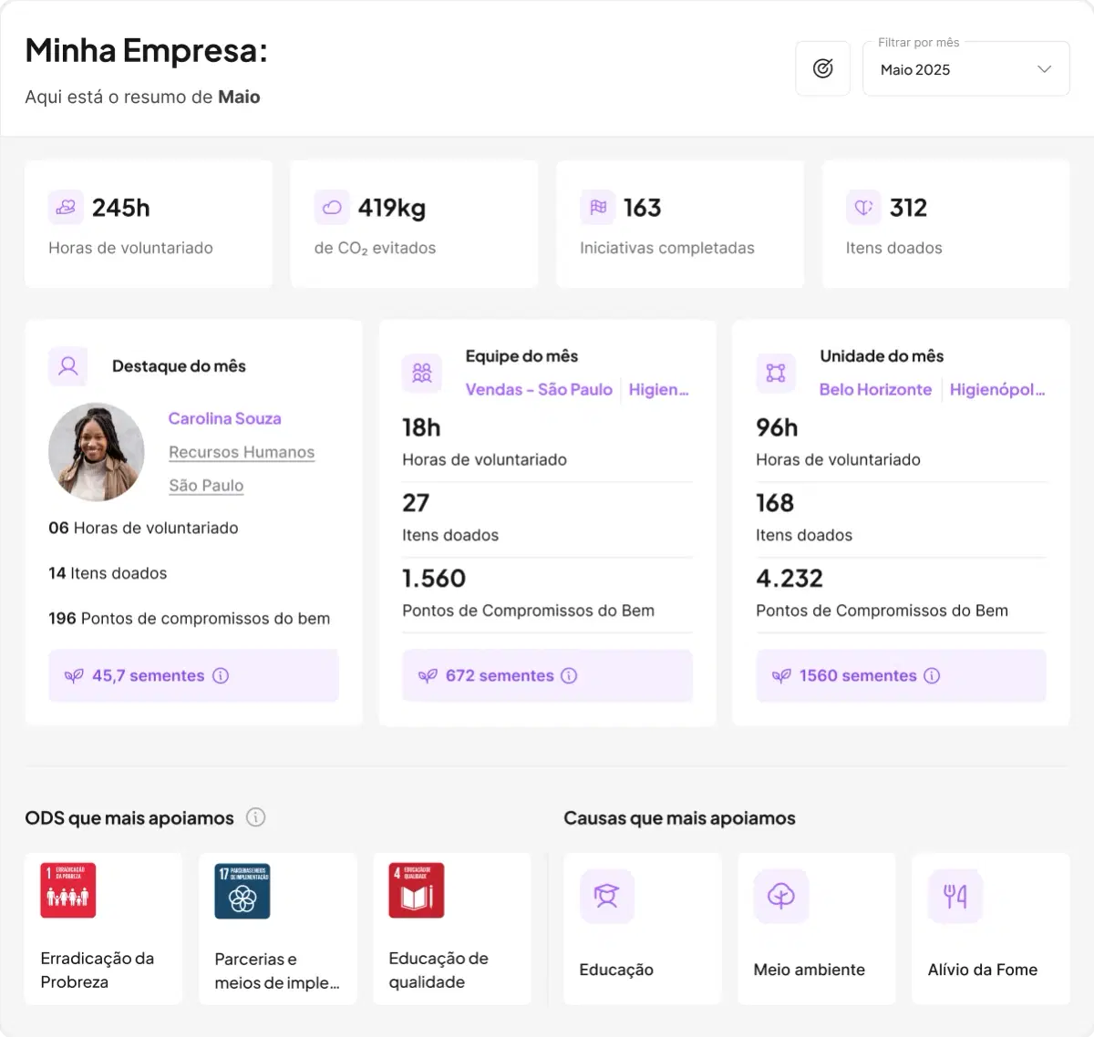 Exemplo de dashboard de uma empresa. Mostra horas de voluntariado, CO₂ evitado, doações realizadas, além de ODS e causas apoiadas.